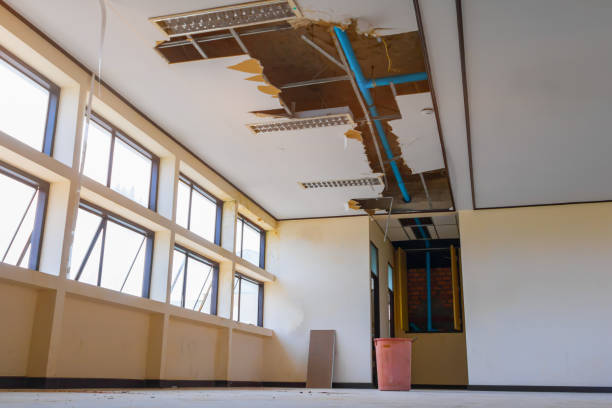 Best Flooded house restoration  in El Paso, IL