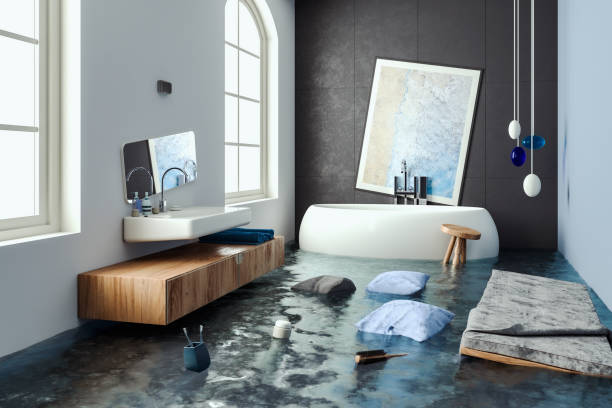 Best Mold removal after water damage  in El Paso, IL