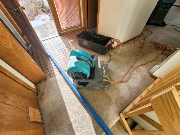 Best Basement water damage restoration  in El Paso, IL
