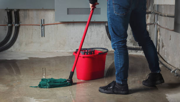 Best Water damage cleanup near me  in El Paso, IL