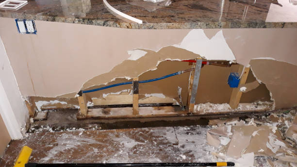 Best 24/7 water damage repair  in El Paso, IL