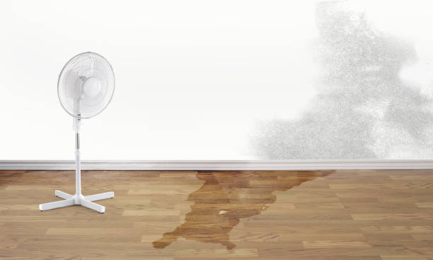Best Fire Damage Restoration  in El Paso, IL